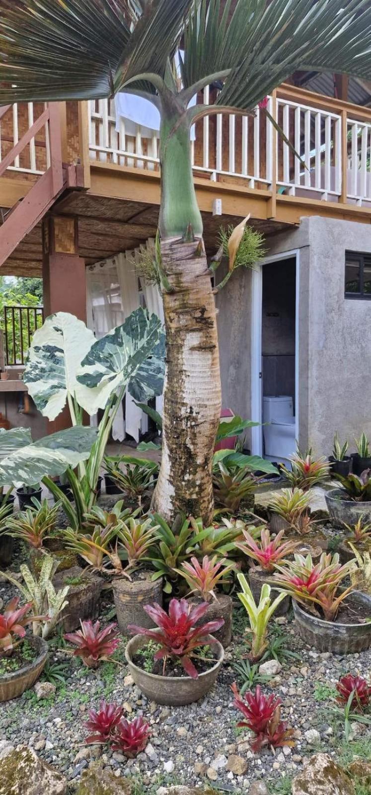 Khloe Serenity Guest House Batuan Eksteriør billede